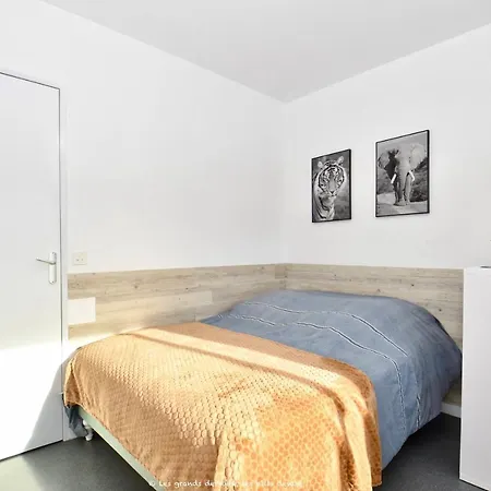 Apartment A La Et Au Soleil De St Palais Sur